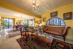 Dolfi Grand Loft